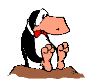 realtater's profile picture. Fuck Trumpers and Elonia. Seriously. Moved to Bluer Skies.