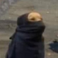 E Thee Ney (@edneyjrjr) 's Twitter Profile