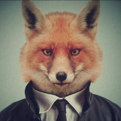 🦊 Part-time trickster, full-time enigma. Specialising in unintentional wisdom and finding humour in the chaos. #NotYourAverageFox