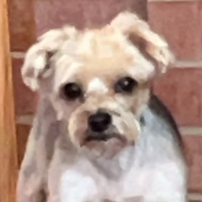 BOneChiefEngr's profile picture. Engineer