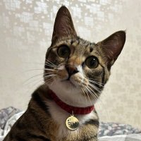 oburry (@oburry) 's Twitter Profile
