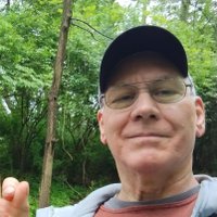 Gollwoods (@simpledog44) 's Twitter Profile