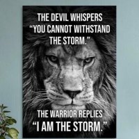 baseballdad89 (@baseballdad891) 's Twitter Profile