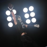 Braeden Palmer (@braedenpalmer2) 's Twitter Profile