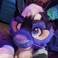 SquirrelCast (@squirrel_cast) 's Twitter Profile
