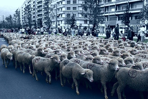 this is a page to educate the sheep the lost minds on whats really going on #zombieamerica
#teamfollowback #teamfollow