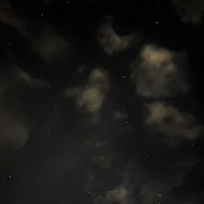 blikls's profile picture. lisa's
L♡VER