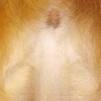 IsaacJacobSquires (@isaacjsquires) 's Twitter Profile