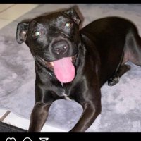 Jeremy Stathum (@coachjaystathum) 's Twitter Profile Photo