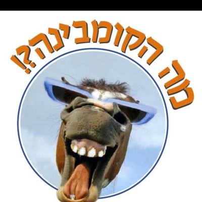 ישראל עד הפרת והחידקל.
רק לא ביבי הופך לרק כמו ביבי.
ערבים החוצה, מי שרוצה לחכות לבתולות, יכול להשאר.