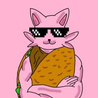 Cataco_cto (@cataco_cto) 's Twitter Profile