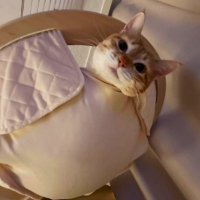 ต้าวลักยิ้ม HYWS🐰🤍(woohye) (@minnyhyey123456) 's Twitter Profile Photo