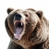 violentgrizzly's profile picture. i like mauling fish and sometimes women