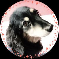 じんターボ (@jin_turbo) 's Twitter Profile