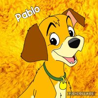 Pablo Fluffball (@pablofluffypup) 's Twitter Profile