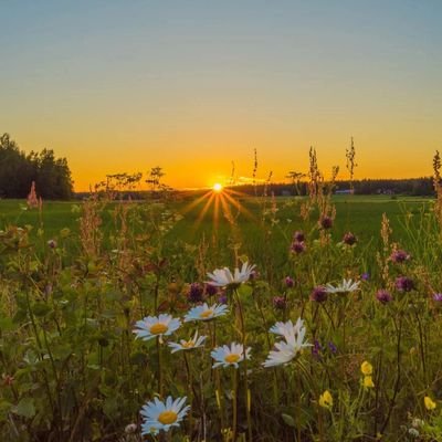 LordJaJa5's profile picture. All great achievements requires time