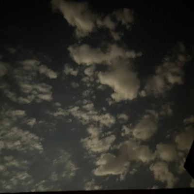 h_rex15's profile picture. Just don't care .