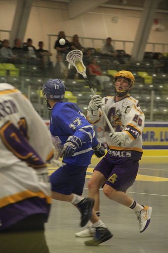 WLA Coquitlam Adanacs #28, Robert Morris University Alumni