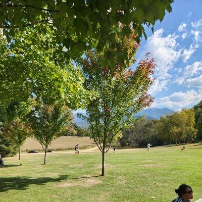 Rlesc1's profile picture. J'aime les tweets