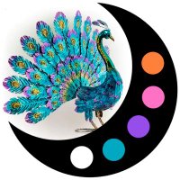 Token_Peacock 🦚 (@token_peacock) 's Twitter Profile Photo Token_Peacock 🦚 (@token_peacock) 's Twitter Profile Photo