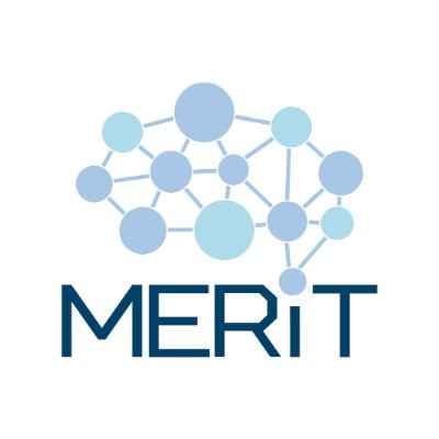 Master of Science in Smart, Secure and Interconnected Systems.
An EU co-funded project under the #DigitalEU Programme (GA 101083531). #MERIT #DigitalSkills