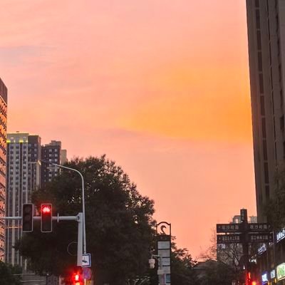 Dragonshangtian's profile picture. Don't BB