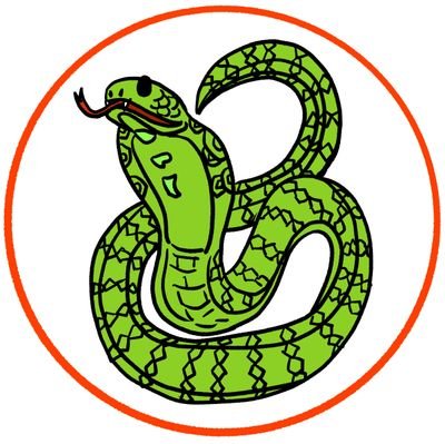 ビーサン🐍マキシマムさんのプロフィール画像