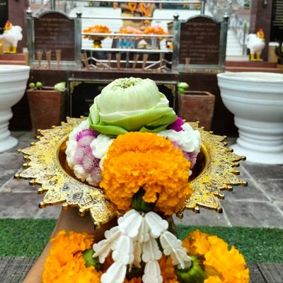 opor2608's profile picture. 