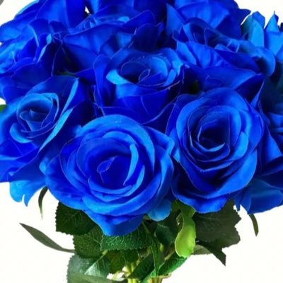 kyn1671027's profile picture. - لا إله الا إنت سبحانك اني كُنت من الظالمين. 💙 💙💙💙💙💙💙💙💙💙💙💙💙💙💙💙💙💙💙💙💙💙💙💙💙💙💙💙💙💙💙💙💙💙💙💙💙💙💙💙صل الله عليه وسلم