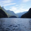 Anne Erickson - @yellowdartanne - Twitter