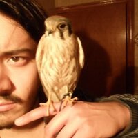 Kaloh (@kalohcc) 's Twitter Profile