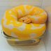 ~昴~@爬虫類🐍🦎 (@wanted_to_pet) Twitter profile photo ~昴~@爬虫類🐍🦎 (@wanted_to_pet) Twitter profile photo