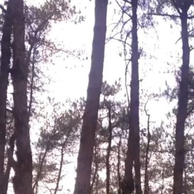 weitnykai0911's profile picture. By the grace of God 🙏 
I am who I am today.✊