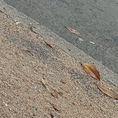 jima_jima14's profile picture. 