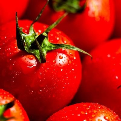 tomaaato_mama's profile picture. 3歳の🐘を育てるアラサーワーママ｜
2024.08～２人目妊活開始｜
2024.10稽留流産｜
2025.02化学流産①｜
2025.06化学流産②｜
2025.09念願の🧚‍♂️｜
妊娠悪阻により入院生活１ヶ月突破→退院しました！｜
東海オンエア箱推し(…と言いつつしば虫贔屓)｜X初心者｜お友達募集中