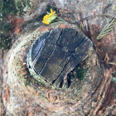 puche76's profile picture. Agile continuous learning