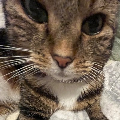 valejevaite's profile picture. I don't know why I have twitter 🤷‍♀️