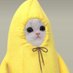 BananaCat (@redditardio) Twitter profile photo BananaCat (@redditardio) Twitter profile photo