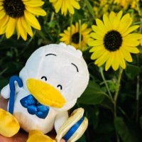 ãœã¡ã (@pekkle_07_27) 's Twitter Profile Photo ãœã¡ã (@pekkle_07_27) 's Twitter Profile Photo