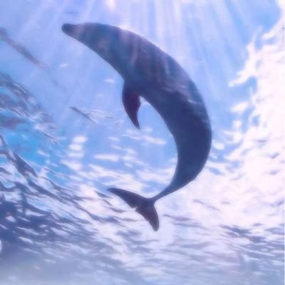 Zaydien_sub's profile picture. 一个偏执的疯子
sub
异类