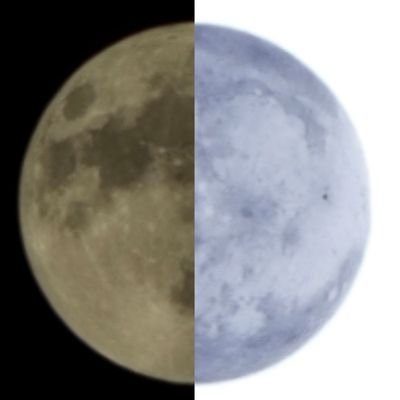 ArchedEzra's profile picture. Chillin | NSFW mfs block me immediately | @ezrastaybaked (main) | 16+