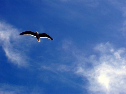 sdoumbia13's profile picture. founder of Blue Crescent Consulting.  executive Director of Projets de Koussanar https://t.co/IiGag4jiMY.