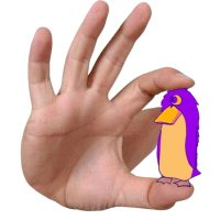 deported brah (@compoffz) 's Twitter Profile