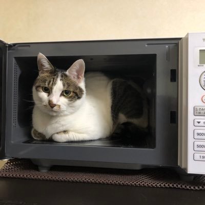 nekobusさんのプロフィール画像