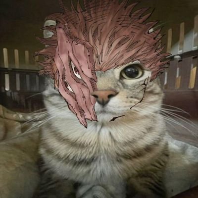 Indonesia Mendunia āāŗā½ā¹ā
Software Enginyan,
FE/BE/ML/AI/etc. C++/Python/Go/etc.