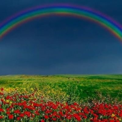 neutral_bb16's profile picture. nothing just random thoughts.