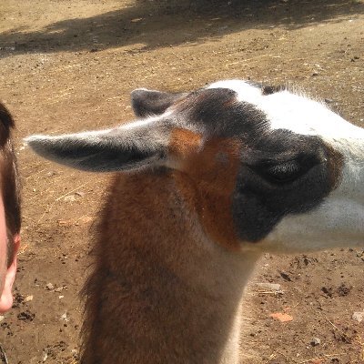 A3096573370256's profile picture. 