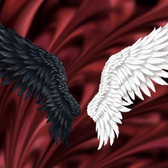 kuro_k1224's profile picture. 🐦🐧🐔