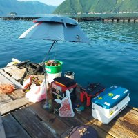 北風小僧 (@sense_one) 's Twitter Profile Photo