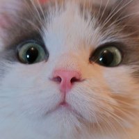 愛ちゃん (@singerjetai2) 's Twitter Profile